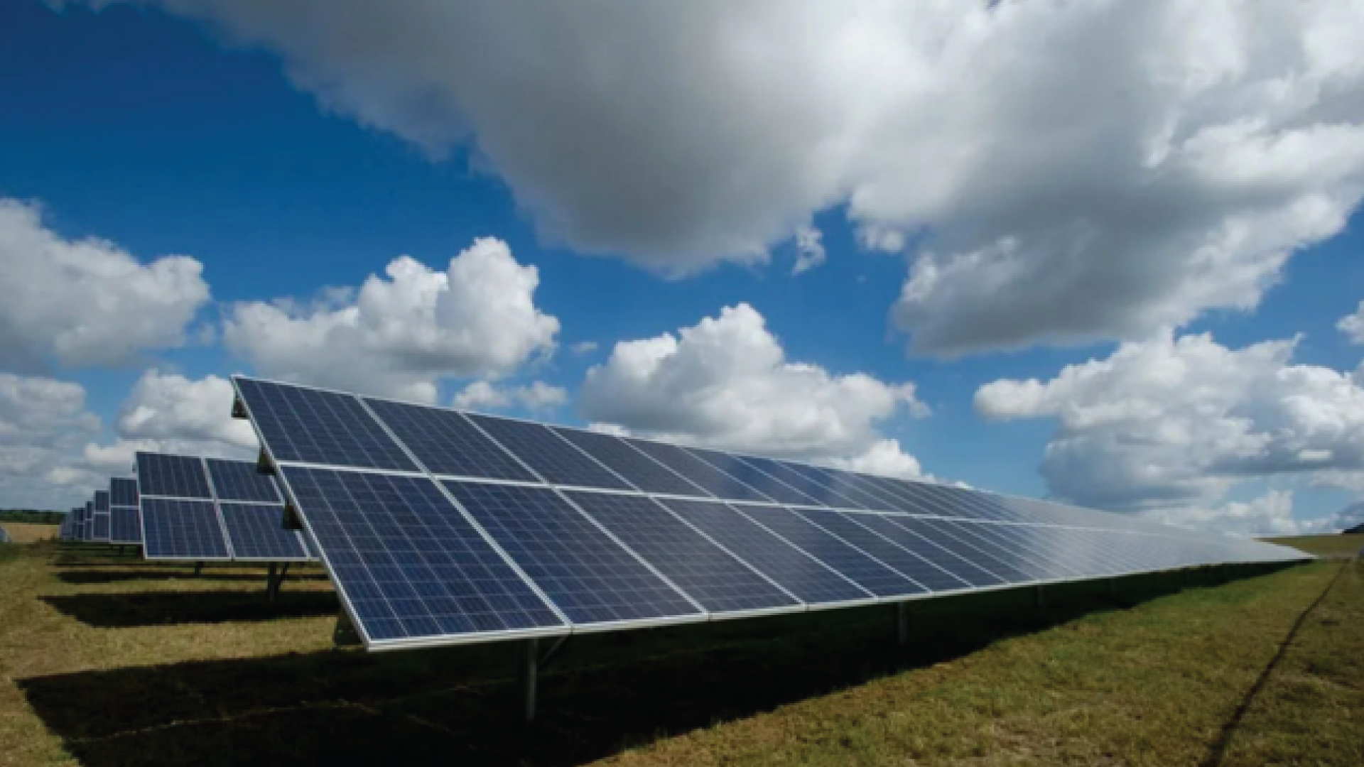 Monocrystalline Solar Module